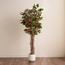 شجرة بوغنفيلية المتسلقة في إناء زرع - أوربانو بلانك - 183 سم-household-gardenandoutdoor-trees-image-4