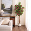 شجرة بوغنفيلية المتسلقة في إناء زرع - أوربانو بلانك - 183 سم-household-gardenandoutdoor-trees-image-1