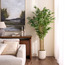 شجرة خيزران أوربانو بلانك في مزهرية – ١٨٣ سم-household-gardenandoutdoor-trees-image-1