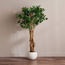 شجرة الزيتون الألمانية في إناء زرع - أوربانو بلانك - 140 سم-household-gardenandoutdoor-trees-image-4