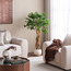 شجرة الزيتون الألمانية في إناء زرع - أوربانو بلانك - 140 سم-household-gardenandoutdoor-trees-image-1