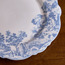 صحن عشاء خزف صيني - بوتانيك - 27 سم-household-dining-dinnerware-plates-image-2