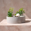 حديقة زن في إناء سيراميك مستدير - شانتيلي - 18 سم-household-gardenandoutdoor-artificialplants-pottedplants-image-3