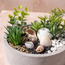 حديقة زن في إناء سيراميك مستدير - شانتيلي - 18 سم-household-gardenandoutdoor-artificialplants-pottedplants-image-2