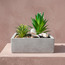 حديقة زن في إناء سيراميك - شانتيلي - 12 سم-household-gardenandoutdoor-artificialplants-pottedplants-image-3