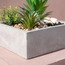 حديقة زن في إناء سيراميك - شانتيلي - 12 سم-household-gardenandoutdoor-artificialplants-pottedplants-image-2