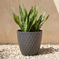Freesia Planter - 32 cm-household-gardenandoutdoor-potsandplanters-planters-image-1