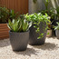Freesia Planter - 32 cm-household-gardenandoutdoor-potsandplanters-planters-image-3
