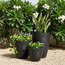 Berly Planter - 27 cm-household-gardenandoutdoor-potsandplanters-planters-image-3
