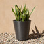 Alston Mondo Planter - 19 cm-household-gardenandoutdoor-potsandplanters-planters-image-1