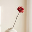 Sienna Anemone Stem - 63 cm-household-gardenandoutdoor-artificialflowersandplants-stems-image-1