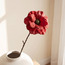 Sienna Anemone Stem - 63 cm-household-gardenandoutdoor-artificialflowersandplants-stems-image-2
