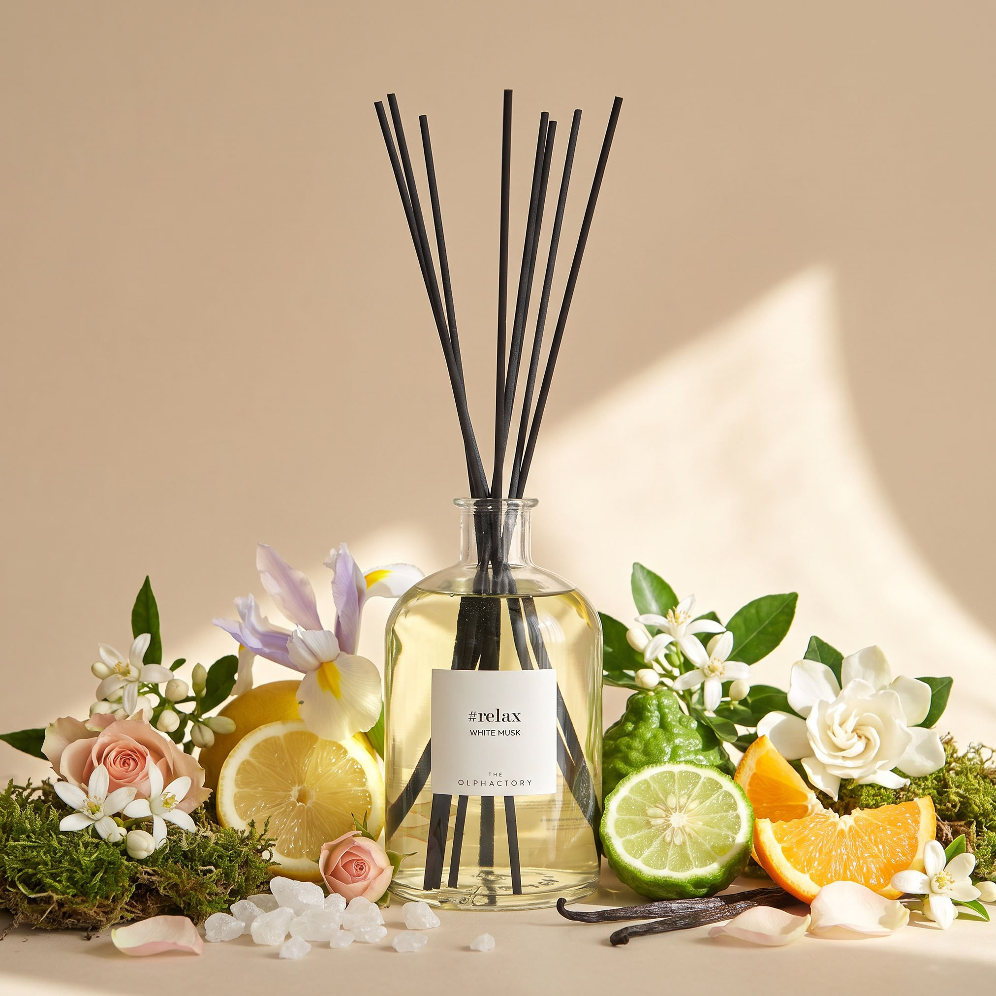 Olphactory Relax White Musk Reed Diffuser - 1 L-household-homefragrance-reeddiffusers-image-1