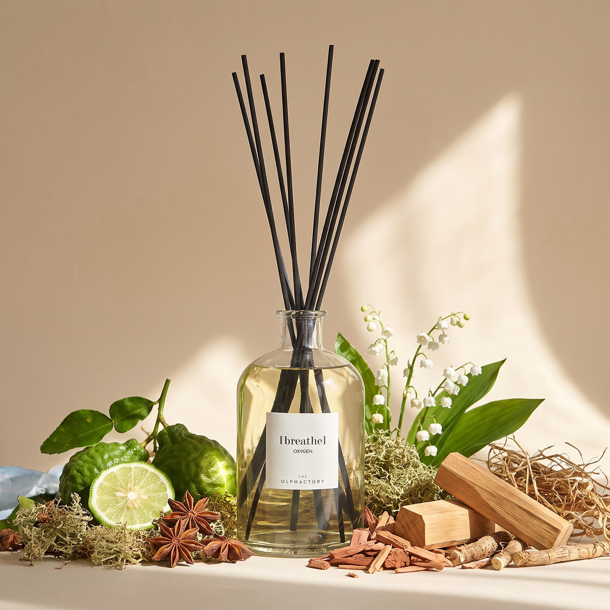 موزع عطور أعواد القصب أوكسيجين - أولفاكتوري - 1 لتر-household-homefragrance-reeddiffusers-image-1