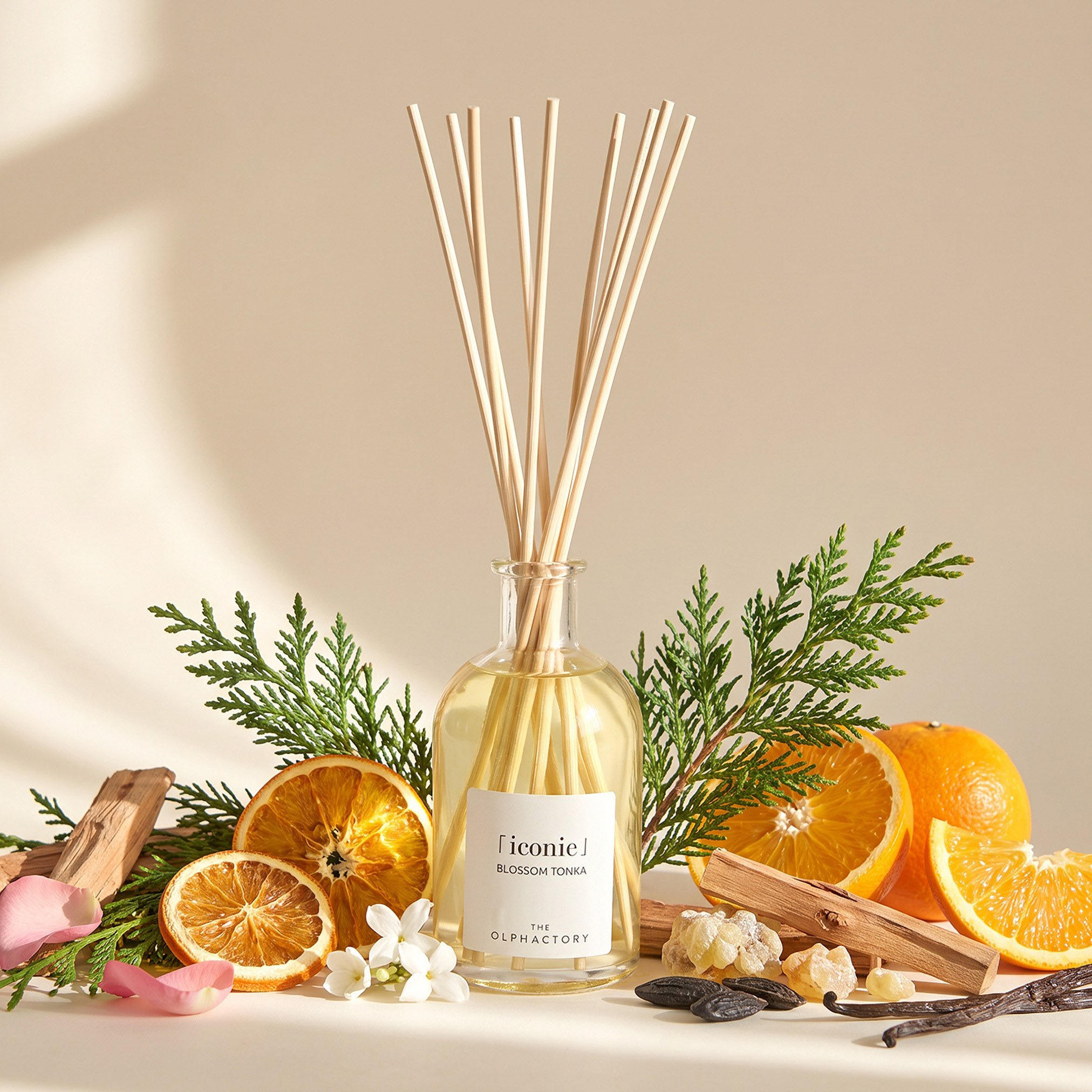 موزع عطور أعواد القصب بلوسوم تونكا - أولفاكتوري - 250 مل-household-homefragrance-reeddiffusers-image-1