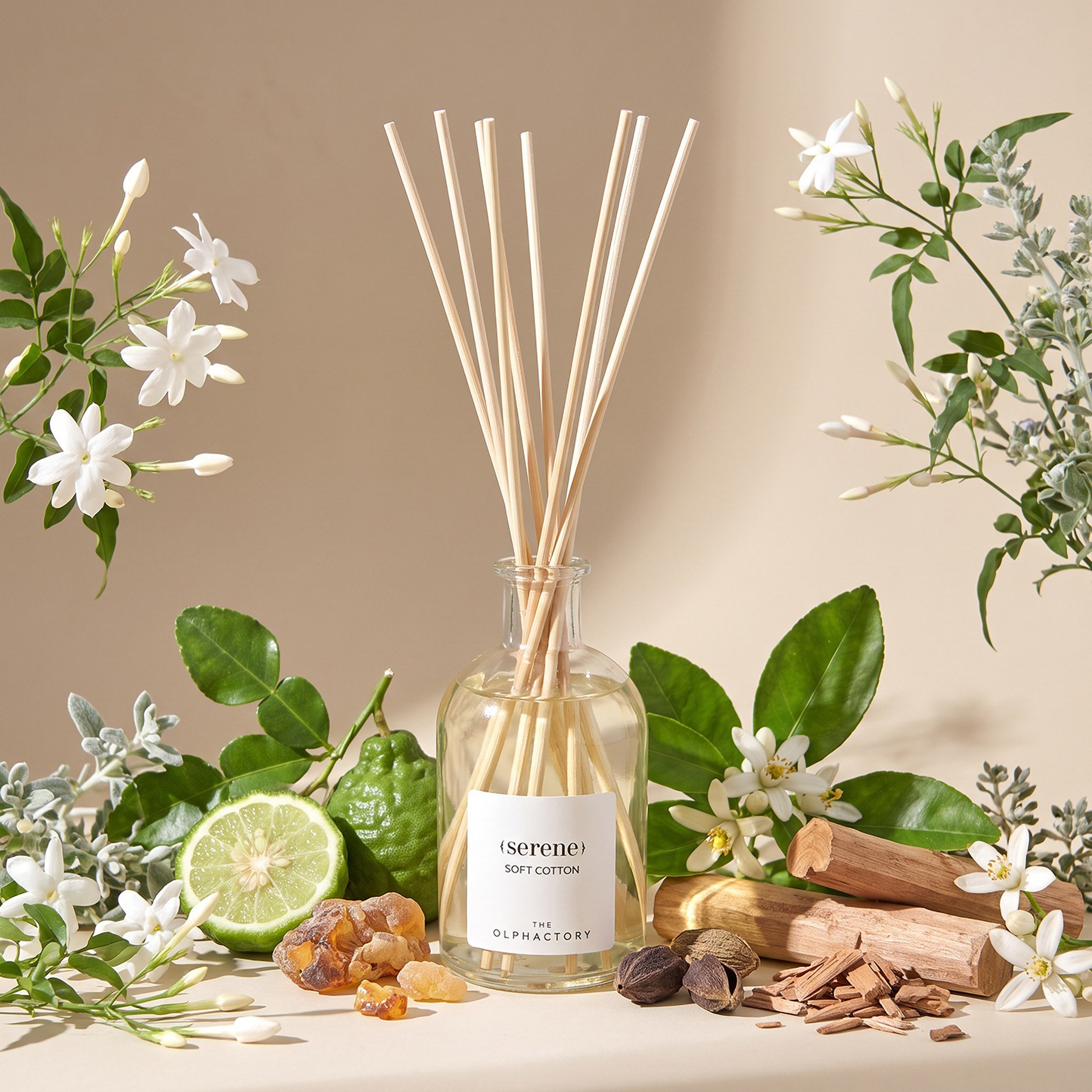 موزع عطور أعواد القصب برائحة القطن الناعم - أولفاكتوري - 250 مل-household-homefragrance-reeddiffusers-image-1