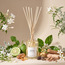Olphactory Soft Cotton Reed Diffuser - 250 ml-household-homefragrance-reeddiffusers-image-1