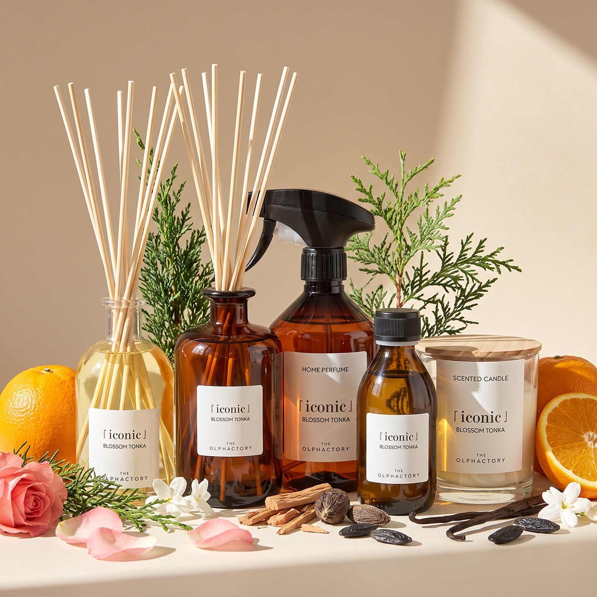 موزع عطور أعواد القصب بلوسوم تونكا - أولفاكتوري - 500 مل-household-homefragrance-reeddiffusers-image-4