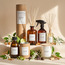 Olphactory Soft Cotton Reed Diffuser - 500 ml-household-homefragrance-reeddiffusers-image-4