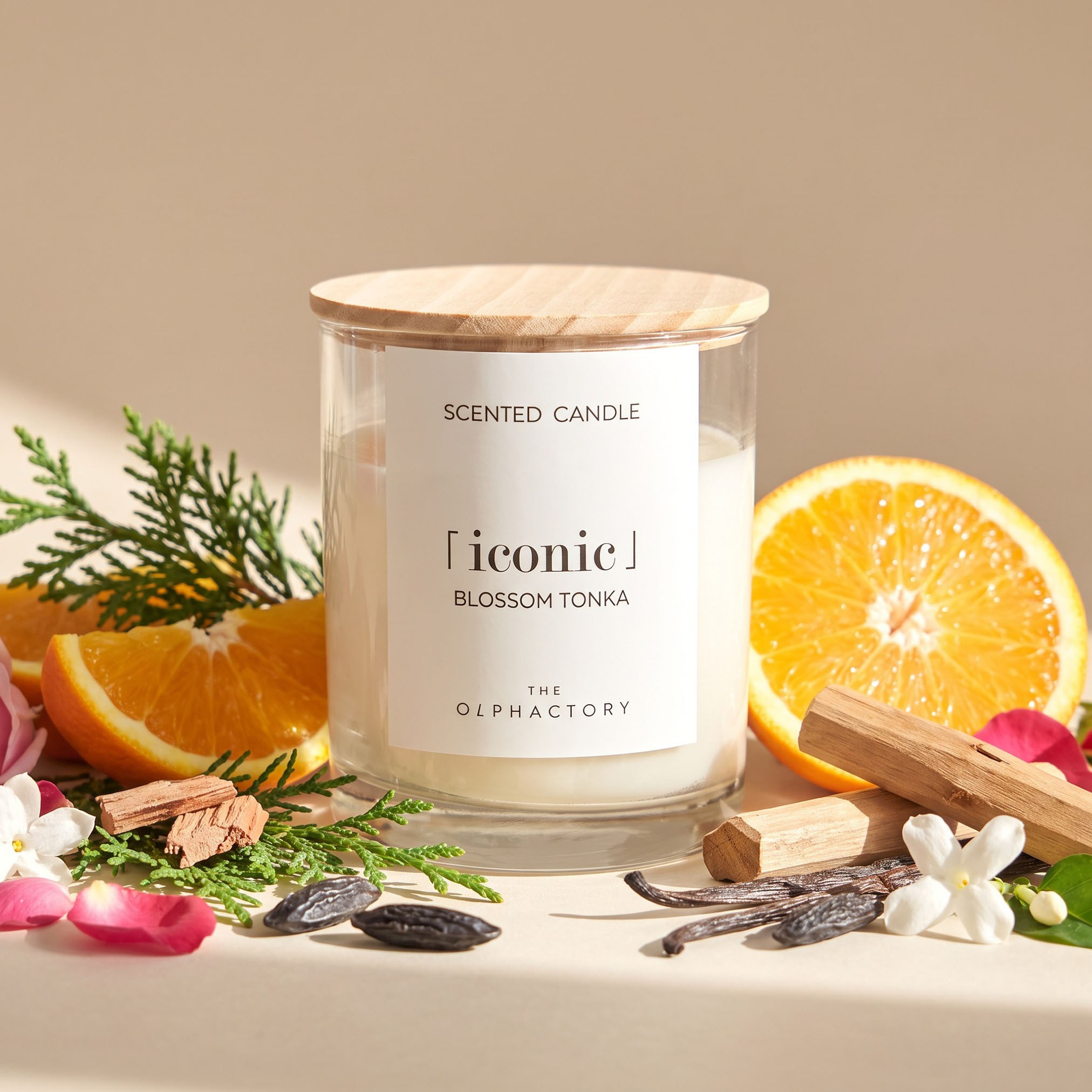 Olphactory Blossom Tonka Scented Jar Candle - 40 h-household-homefragrance-candles-image-1
