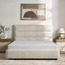 مرتبة كوين إسفنج فحم - سيستا - 160 × 200 سم-furniture-mattresses-queenmattresses-image-2