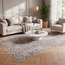 Eterna Rug - 200x290 cm-household-rugsandcarpets-rugs-image-4