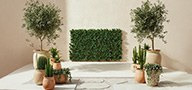 Trellis