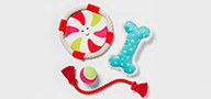 Toys & Accessories