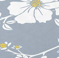 Isla 4-Piece Placemat Set