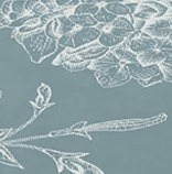 Millie 4-Piece Placemat Set